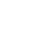 Vitamina C